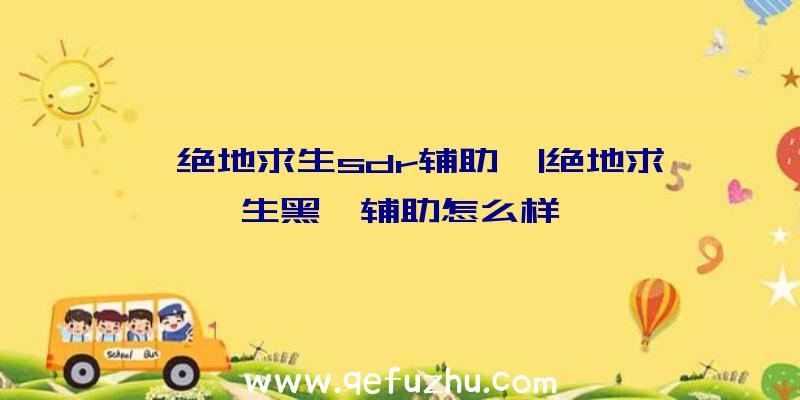 「绝地求生sdr辅助」|绝地求生黑鲨辅助怎么样